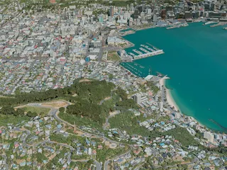 Wellington City, New Zealand (2020) 3D Model