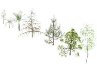 Trees Pack 3D Model