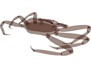 King Crab 3D Model