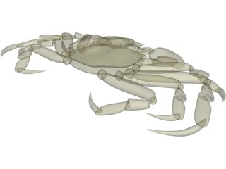 Chinese Mitten Crab 3D Model