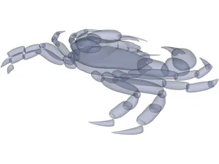 Harris Mud Crab 3D Model