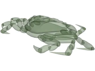 European Green Crab 3D Model