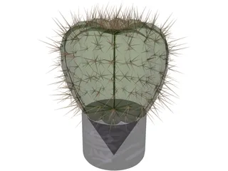 Cactus 3D Model