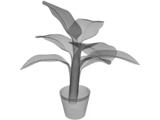 Banana Plant 3D Model