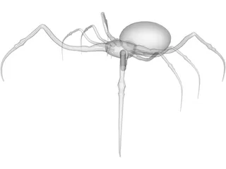 Spider 3D Model