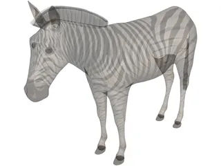 Zebra 3D Model