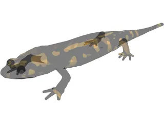 Salamandra 3D Model