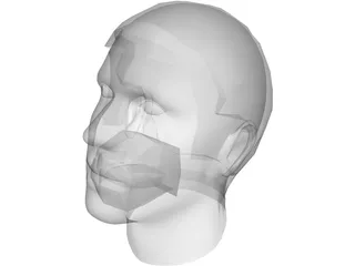 Man Head 3D Model