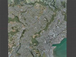 Dunedin City, New Zealand (2021) 3D Model