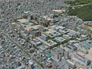 Matsuyama City, Japan (2021) 3D Model