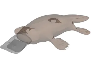 Platypus 3D Model