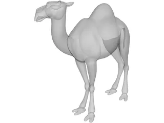 Camel 3D Model