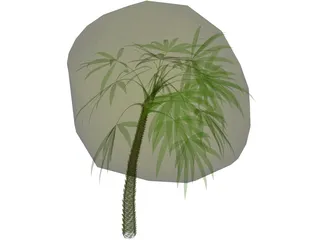 Palm 3D Model