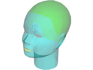 Head Female 3D Model