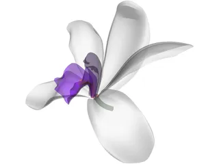 Orchid 3D Model