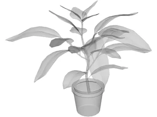 Houseplants 3D Model