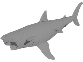 Shark Great White 3D Model