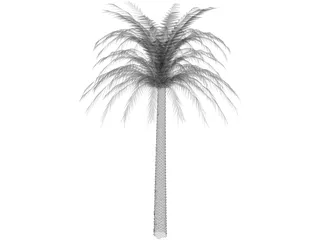 Tree Palm 3D Model