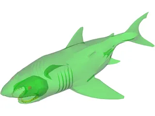 Shark 3D Model