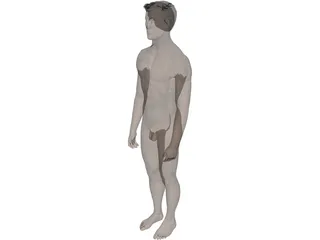 Man 3D Model