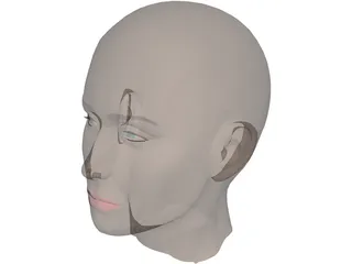 Head Female 3D Model