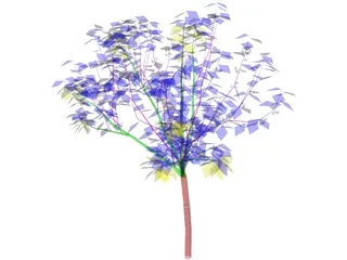 Apricot Tree 3D Model