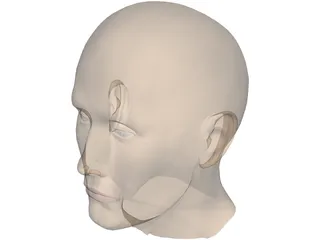 Head Male 3D Model