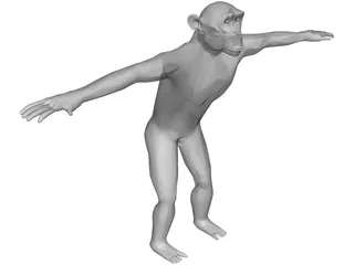 Chimpanzee 3D Model