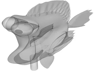Nemo Cartoon 3D Model