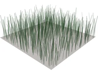 Grass 3D Model