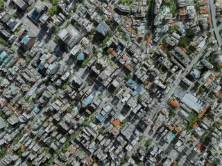 Sao Paulo City, Brazil (2022) 3D Model