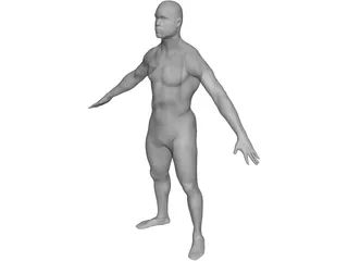 Man Body International 3D Model