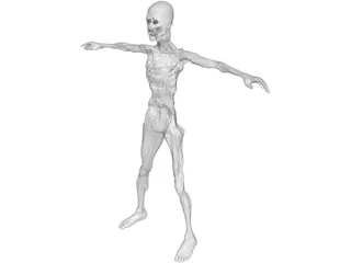 Zombie 3D Model