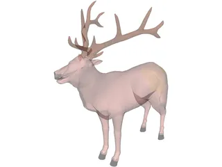 Deer 3D Model