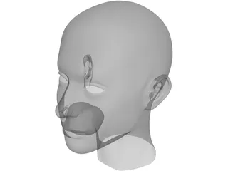 Head 3D Model