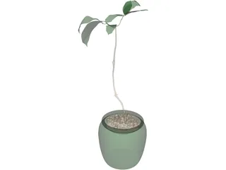 Plant 3D Model