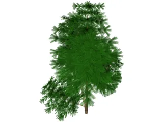 Juniper Bush 3D Model