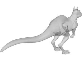 Kangaroo 3D Model