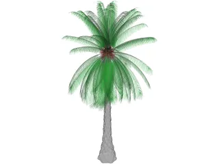 Tree 3D Model