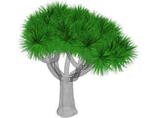 Tree 3D Model