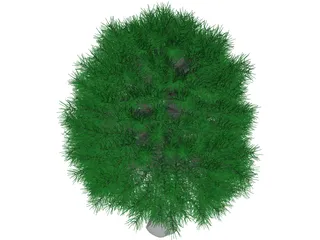 Tree 3D Model