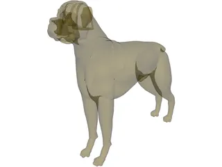 Dog Boxer 3D Model