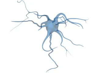 Neuron 3D Model