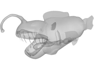 Angler Fish 3D Model