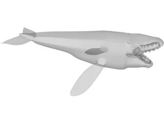 Whale 3D Model