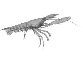 Lobster (Nephrops Norvegicus) 3D Model