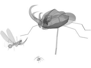 Insects 3D Model