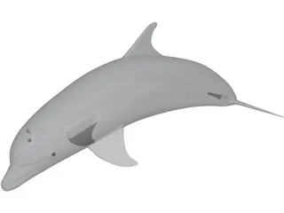 Dolphin Bottle-Nosed 3D Model