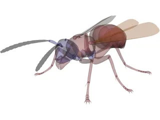 Wasp 3D Model