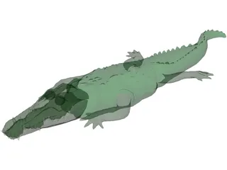 Crocodile 3D Model